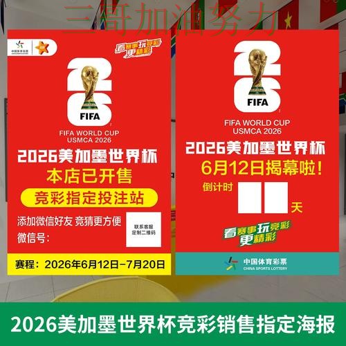 世界杯投注网站大全如何操作别乱选，最新盘点给你答案（世界杯赛事中心）